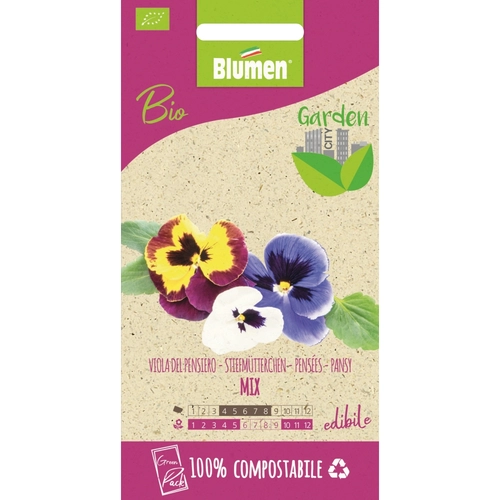 Semi fiore di viola 20 g BRI1390036