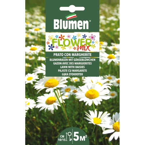 Semi fiore MIX PRATO CON MARGHERITE 70 g BRI1390049