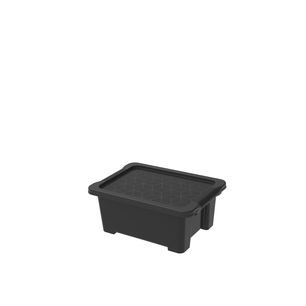 ROTHO Box con coperchio 11 l EVO EASY