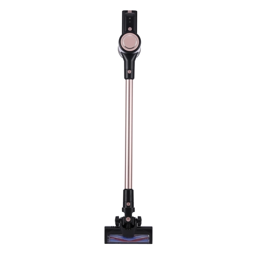 Aspirapolvere AP880K rose e gold BRI1451213