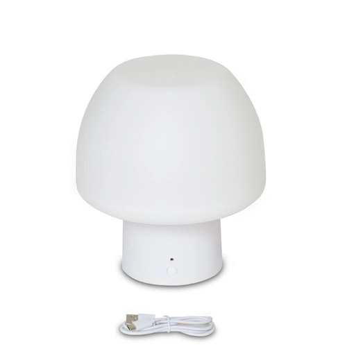Lampada da tavolo moderna BRI1548615