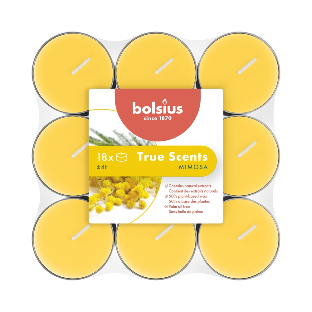 BOLS.SC.TEALIG.MIMOSA     PZ18 BRI1549562