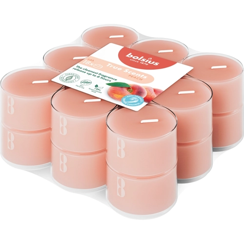 BOLS.SC.TEALIG.PESCA      PZ18 BRI1549588