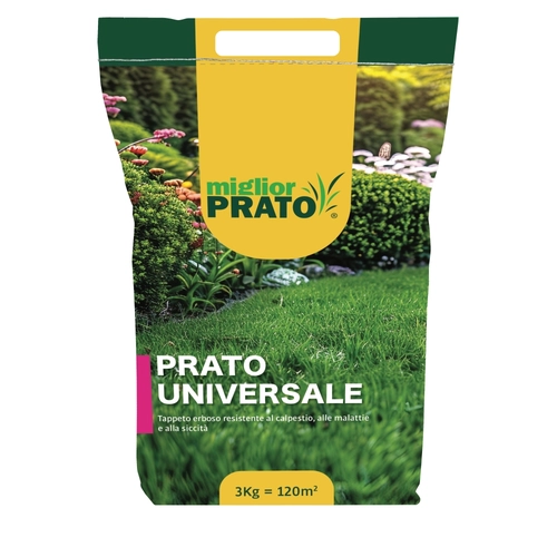 Semi prato 3000 g BRI1551514