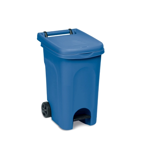 Bidone portarifiuti da 60 L BRI1558386