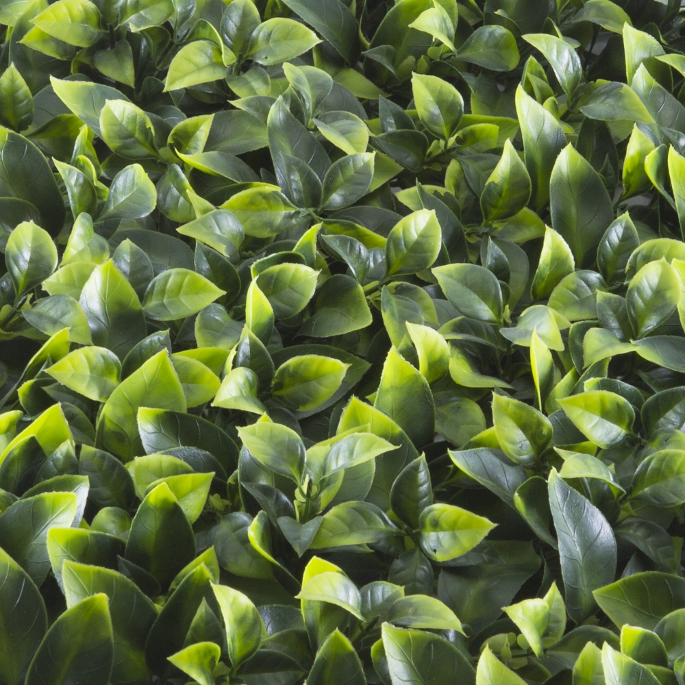 TENAX Siepe artificiale  POTHOS