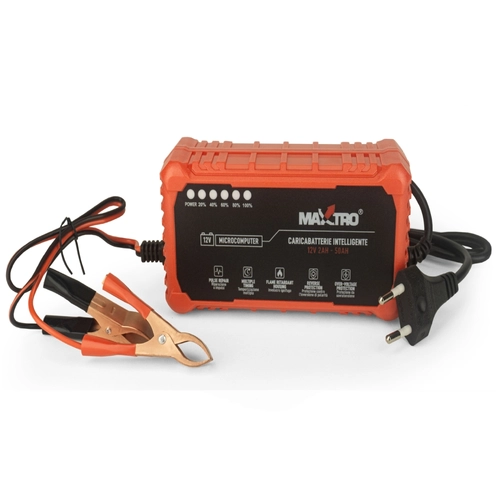 Caricabatterie con mantenitore di carica BRI1561472