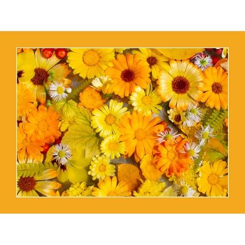 Tovaglietta americana in PVC BRI1563246