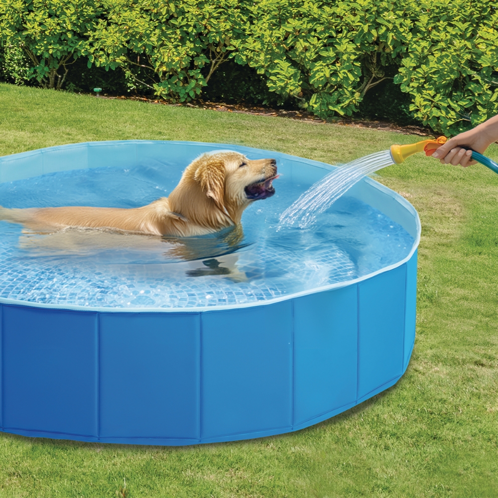 Intex Piscina per Cani
