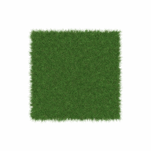 TENAX Oxford 2,00 x 10 m, Verde, 47 mm, Prato sintetico. BRI1567488