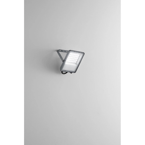 Proiettore ESUS-30 max 30 W BRI1571169