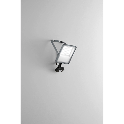 Proiettore ESUS-S-30 max 30 W BRI1571173