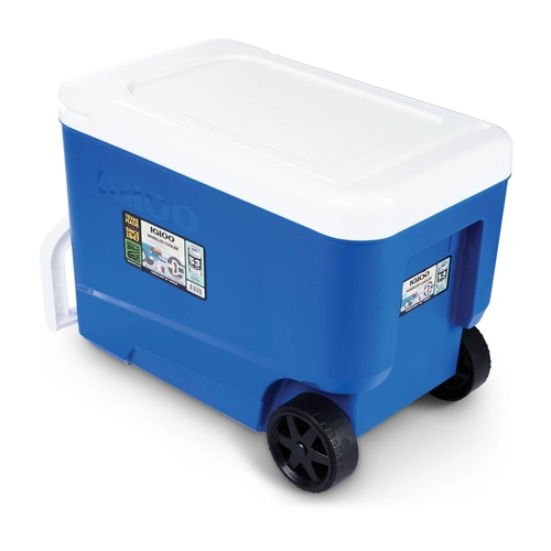 Frigo portatile IGLOO 36 L da 36 L BRI1572286