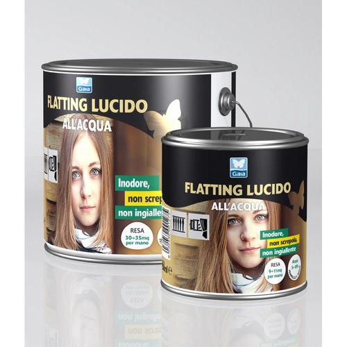 Impregnante all' acqua da 0,75 L BRI1584573