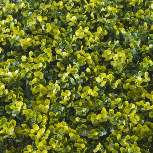 Siepe artificiale  BUXUS BRI1585893