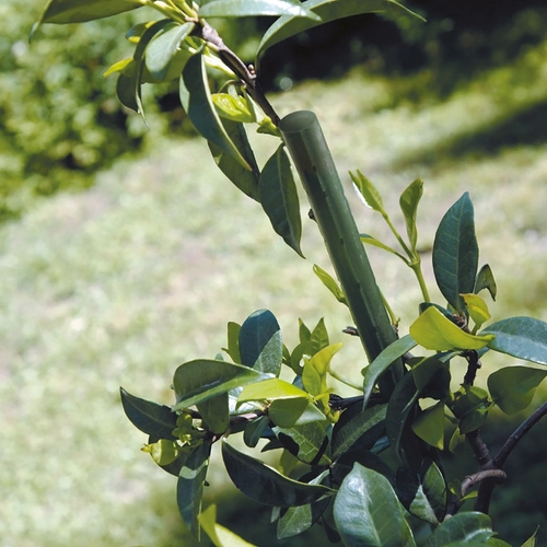 Tutore STEEL UP MODULAR BRI1585898