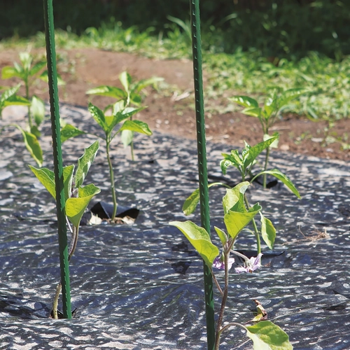 Tutore STEEL UP MODULAR BRI1585899