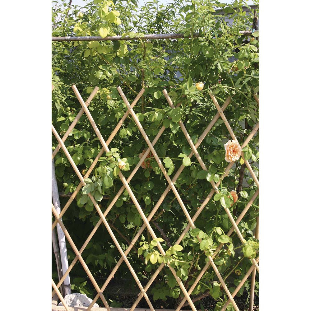 Verdemax TRALICCIO ESTENSIBILE IN BAMBOO M1,80X0,