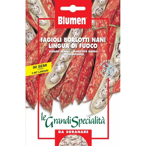 Semi orto Le Grandi Specialità di fagiolo 15 g BRI159015