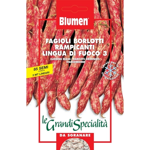 Semi orto Le Grandi Specialità di fagiolo 15 g BRI159016
