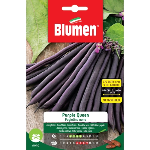 Semi orto di fagiolino nano 130 g BRI159028