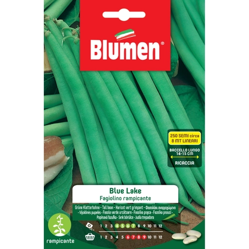 Semi orto di fagiolino rampicante 130 g BRI159032