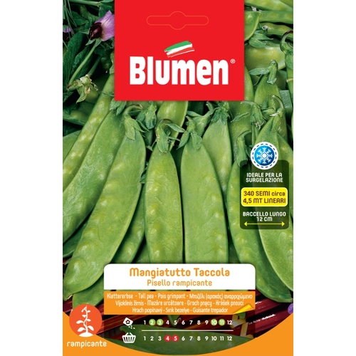 Semi orto di taccola 15 g BRI159039