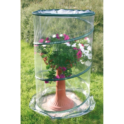 Serra Pop-up Anthurium BRI174785