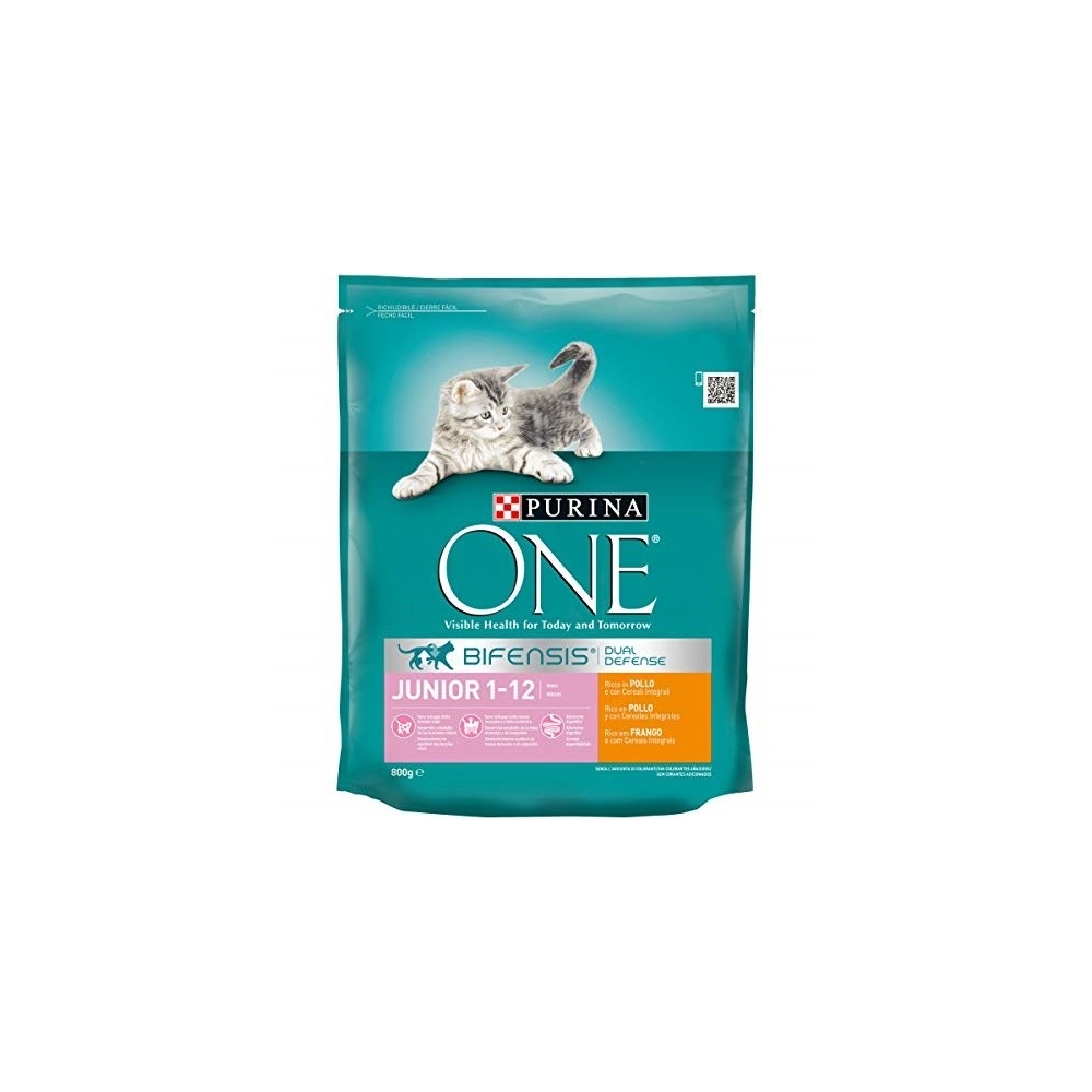 PURINA One Junior 1-12 Mesi Ricco in Pollo 800 g