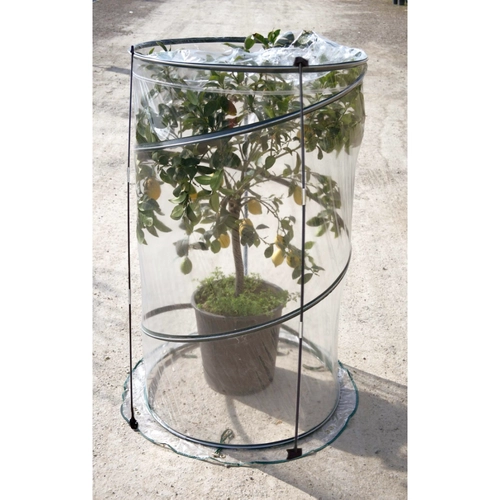 Serra Citrus BRI361016