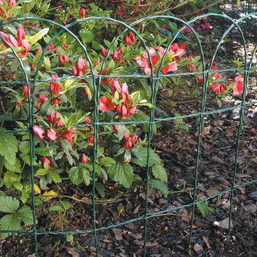 Rete  ONDAMET BRI369355