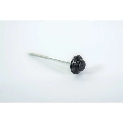 Chiodo BRI377925