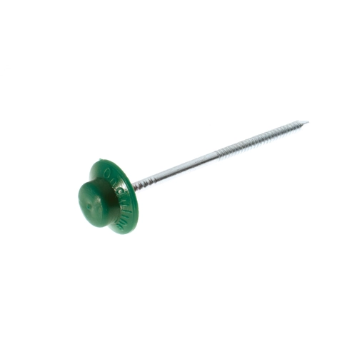 Chiodo BRI410080