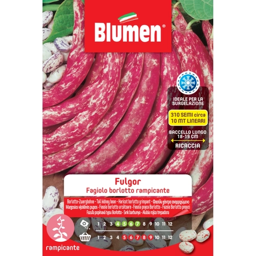 Semi orto di fagiolo 250 g BRI414387