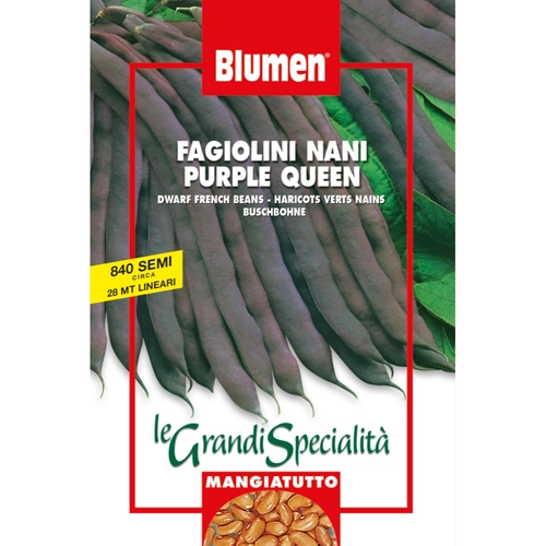 Fagiolini nani purple queen 250 gr BRI414391