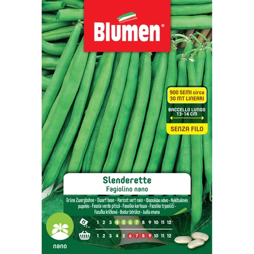 Semi orto di fagiolino nano 280 g BRI414392