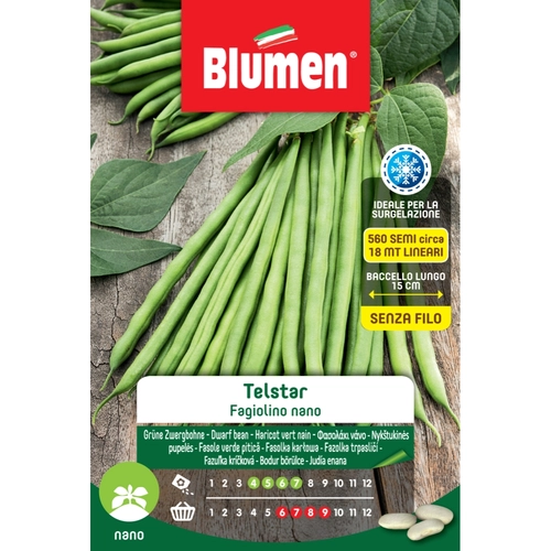 Semi orto di fagiolino nano 280 g BRI414393