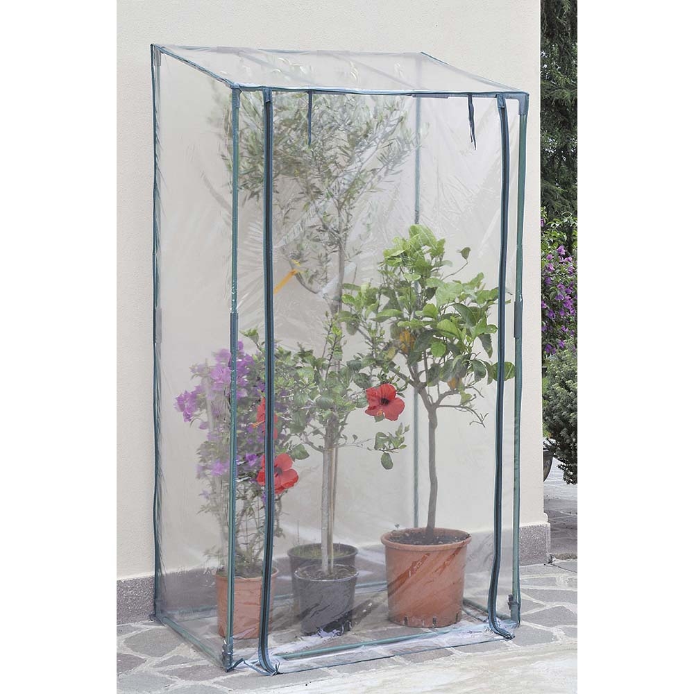 Verdemax Serra Buganvillea