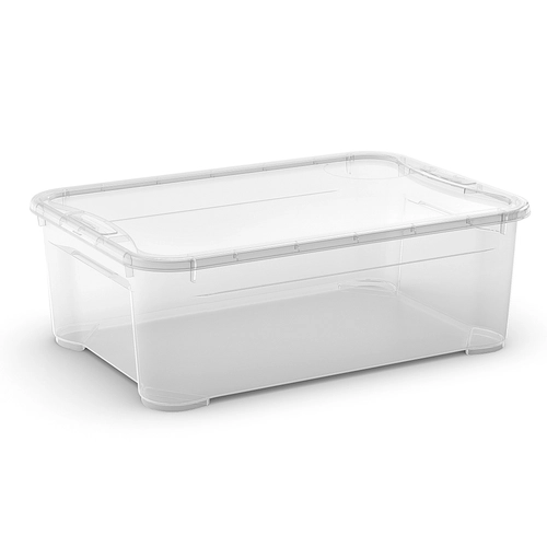 Contenitore T Box M, 31,5 L BRI462723