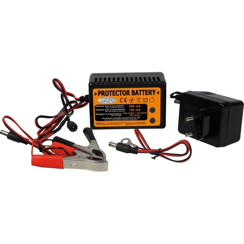 Caricabatterie con mantenitore di carica protector battery BRI503921