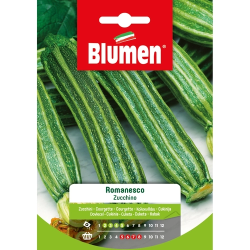 Semi orto di zucchino 20 g BRI532764