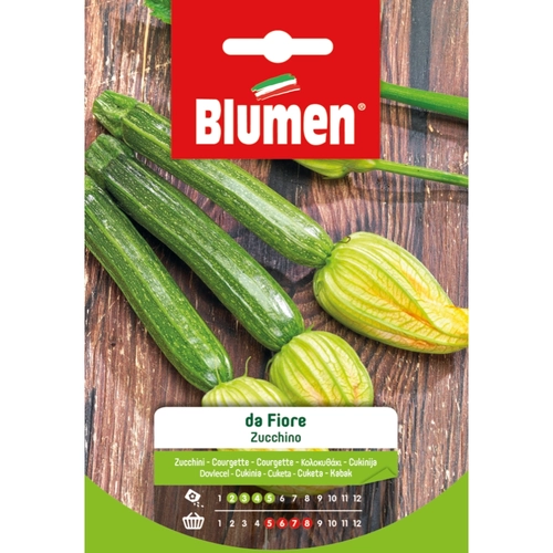 Semi per orto classico zucchine da fiore BRI532767