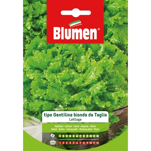 Semi orto di lattuga 20 g BRI532770