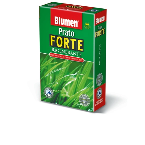 Prato Forte BRI53657