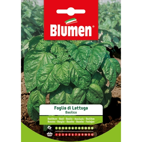 Semi orto di basilico 20 g BRI53670