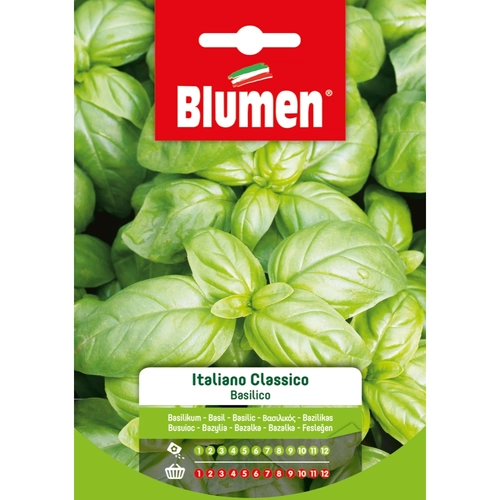 Semi orto di basilico 20 g BRI53671