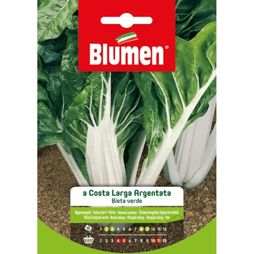 Semi orto di bieta 20 g BRI53672