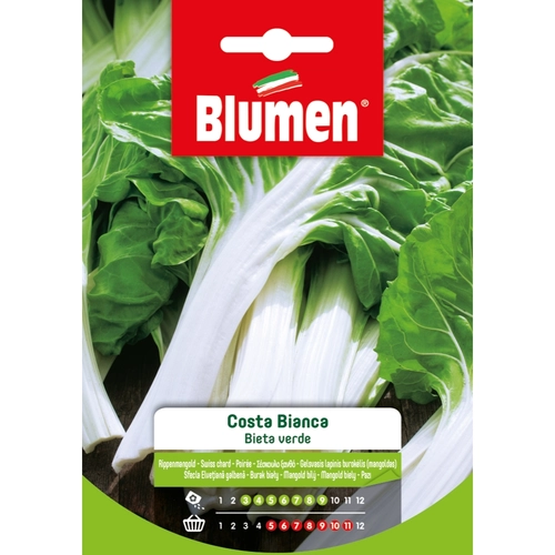 Semi orto di bieta 20 g BRI53673