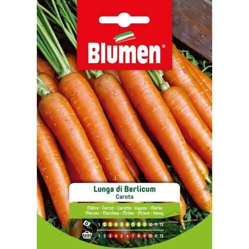 Semi orto di carota 20 g BRI53675