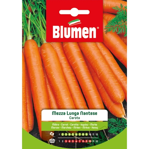 Semi orto di carota 20 g BRI53676